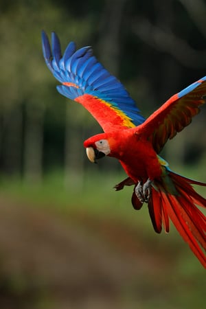 All about nature