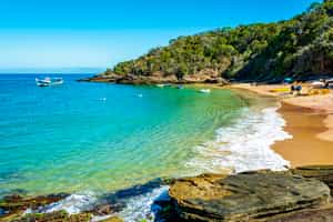 Green Coast