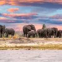 The Most Incredible African Beach/Safari Honeymoon