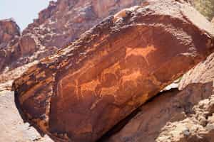 Damaraland
