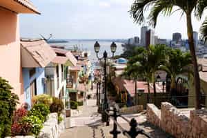 Guayaquil