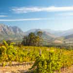 Amazing trip and amazing service!