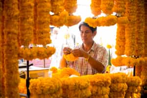 Take in the colours of the Bangkok flower Market