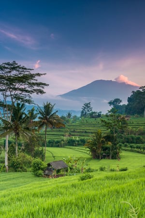 The romance of Bali
