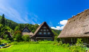 Takayama