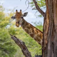 Unforgettable Trip in South Africa