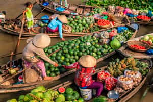 Mekong Delta