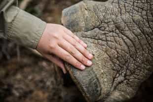 A Spotlight on Conservation