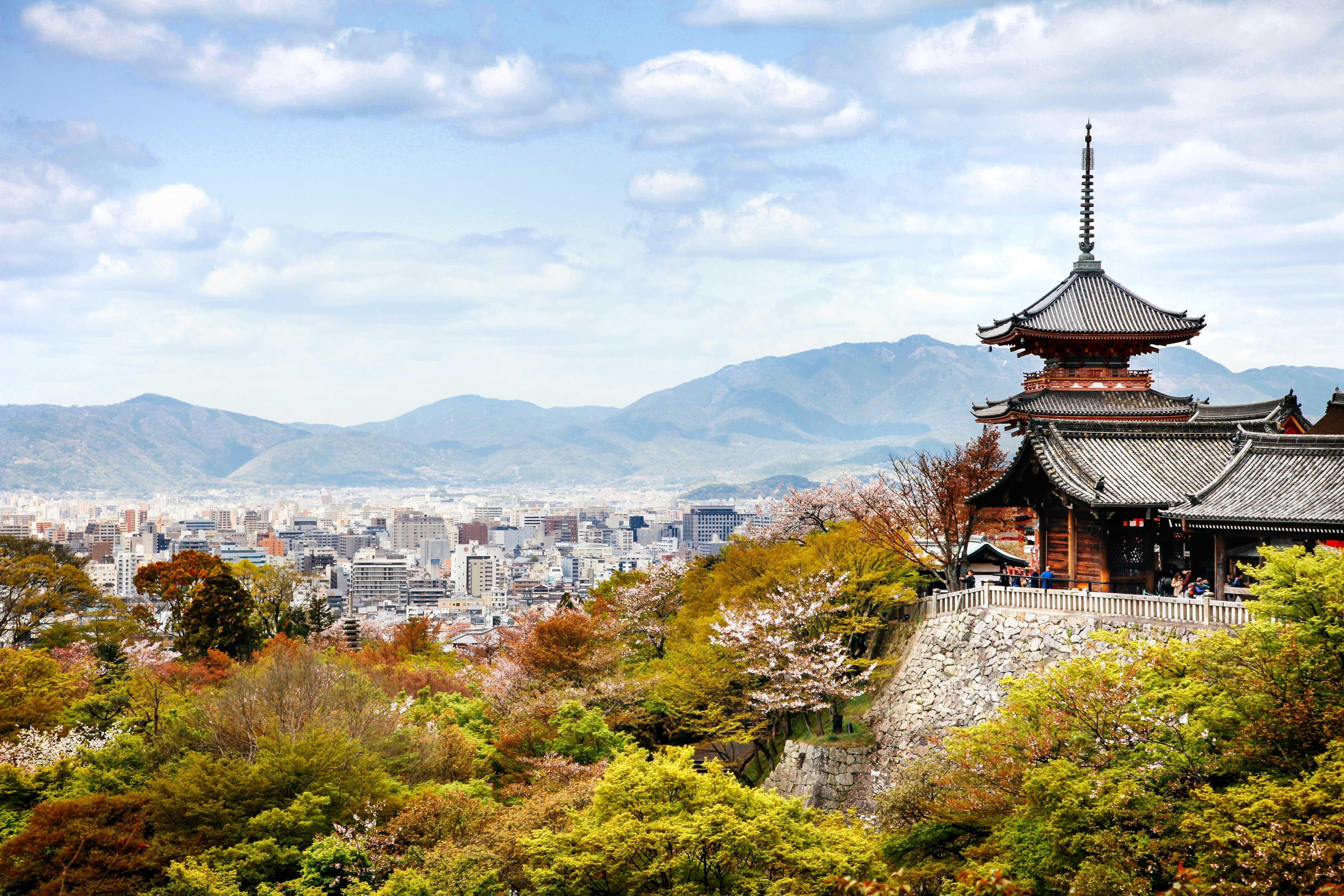 Tessa discovers dreamy Japan