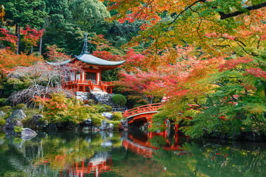 Kyoto