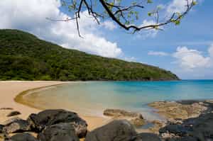 Con Dao Island