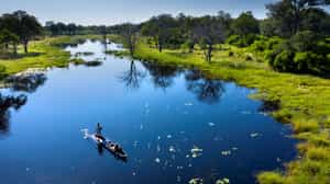 Glide along the water on a Mokoro Safari in Khwai