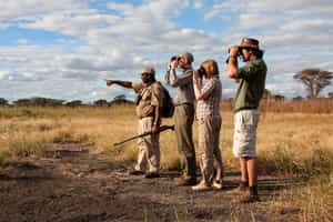 Tarangire National Park