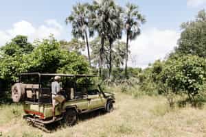 Track wildlife on a game drive in Gonarezhou