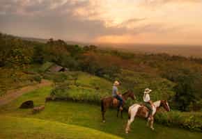 Explore the Rincón de la Vieja jungle on horseback