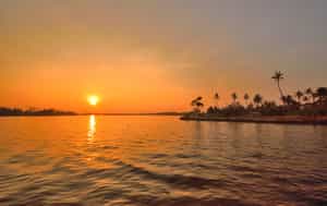 Kerala backwaters