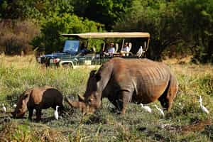 Meru National Park