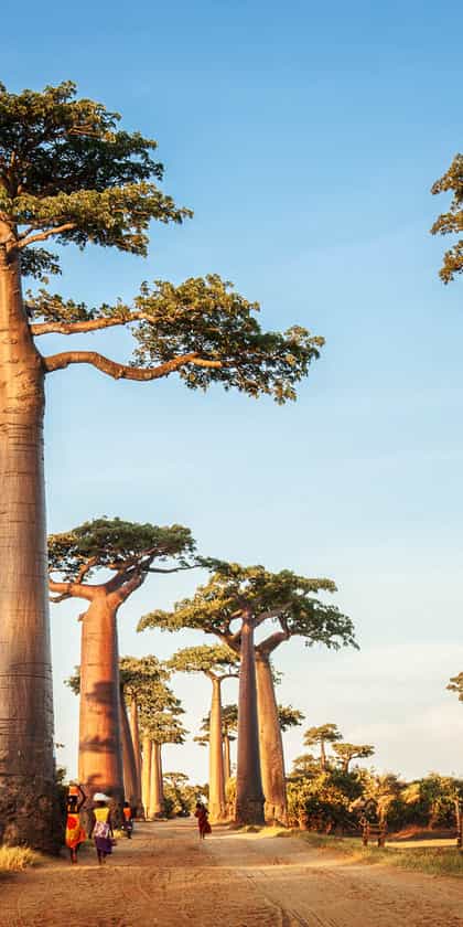 Madagascar