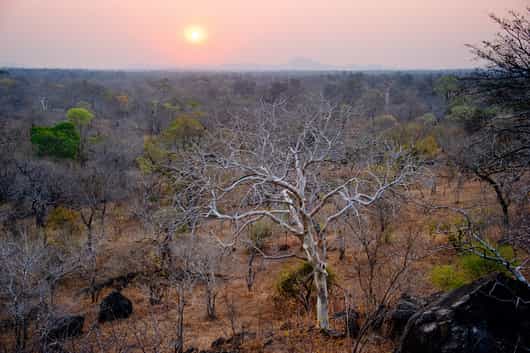 Majete Wildlife Reserve