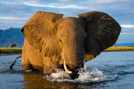 Mana Pools