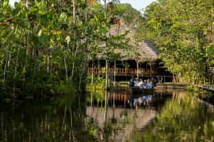 Our Favourite Jungle Lodges