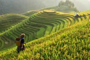 Vietnam Travel Guide: Where to Go, When to Visit & How to Plan Your Trip