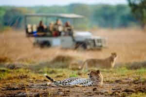 Kafue National Park