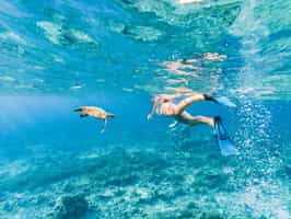 Snorkel amongst the shoals in Reunion Island