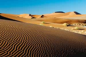 Sossusvlei