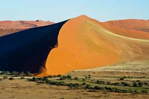 Summit the desert dunes of Sossusvlei