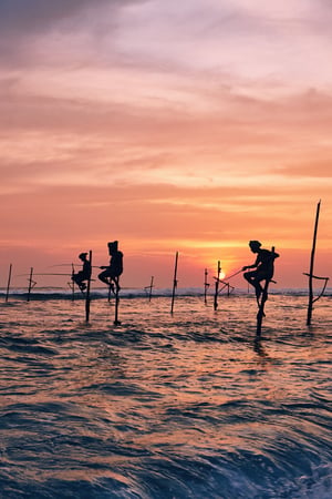 Classic Sri Lanka 
