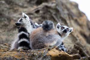 Isalo National Park