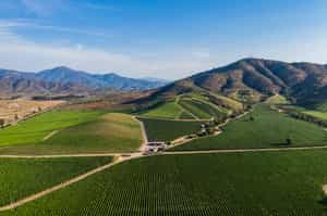 Go wine tasting in the Casablanca valley