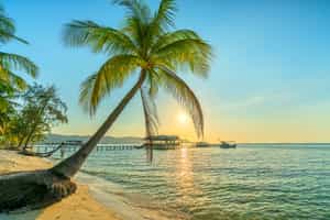 Phu Quoc