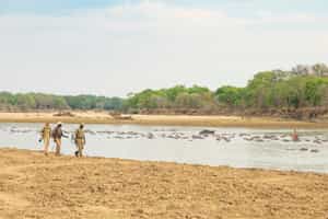North Luangwa National Park