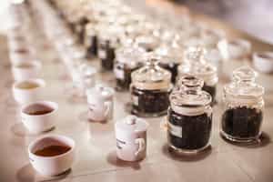 Take a tour of a tea plantation in Galle