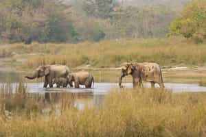 Bardia National Park