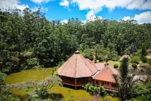 Vakona Forest Lodge