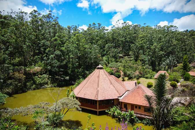 Vakona Forest Lodge