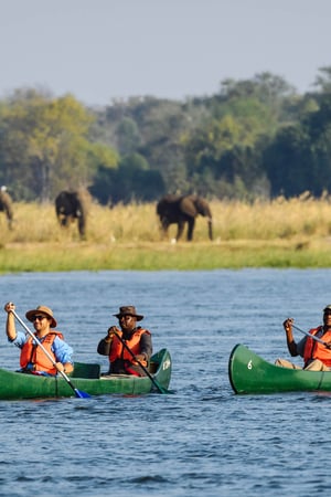 Walking safaris & canoe expeditions in Zimbabwe