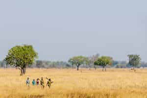 Walking safaris in Luambe National Park