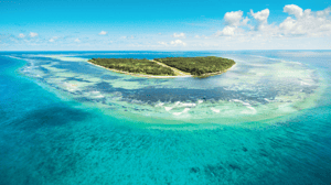 Blue Safari - Alphonse Island