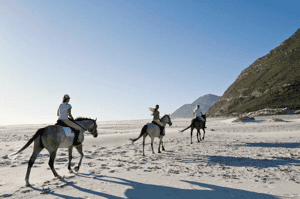 Horse Riding on Noordhoek Beach